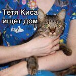 Красивая кошечка в ответственные руки!