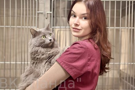 Хасанова Софья Сергеевна